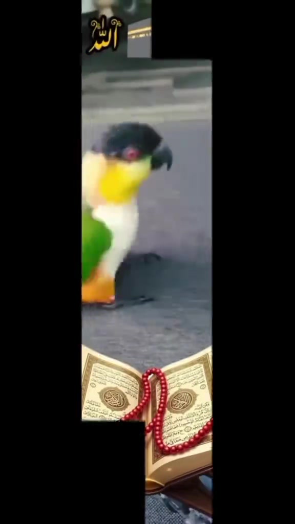 @রবিউল ইসলাম