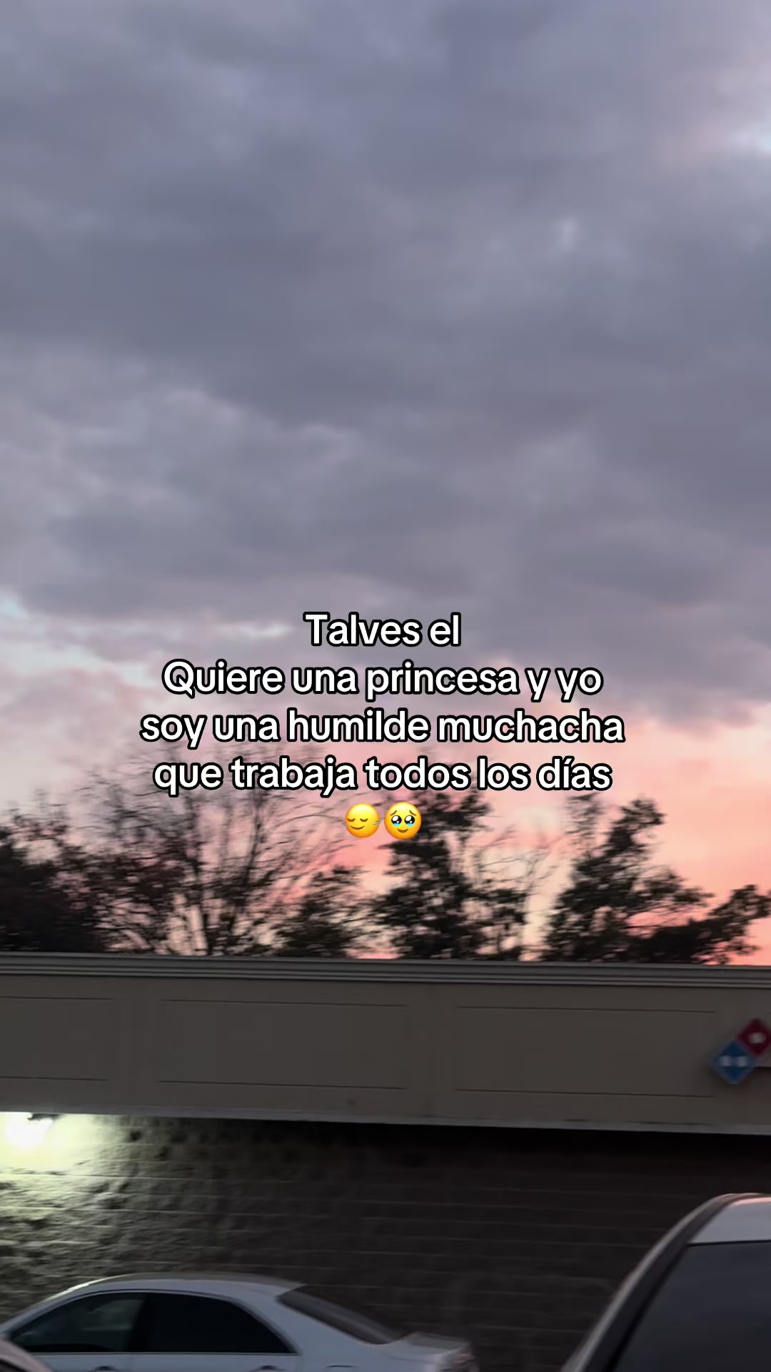 @🫀Lizette Mendoza❤️🦁