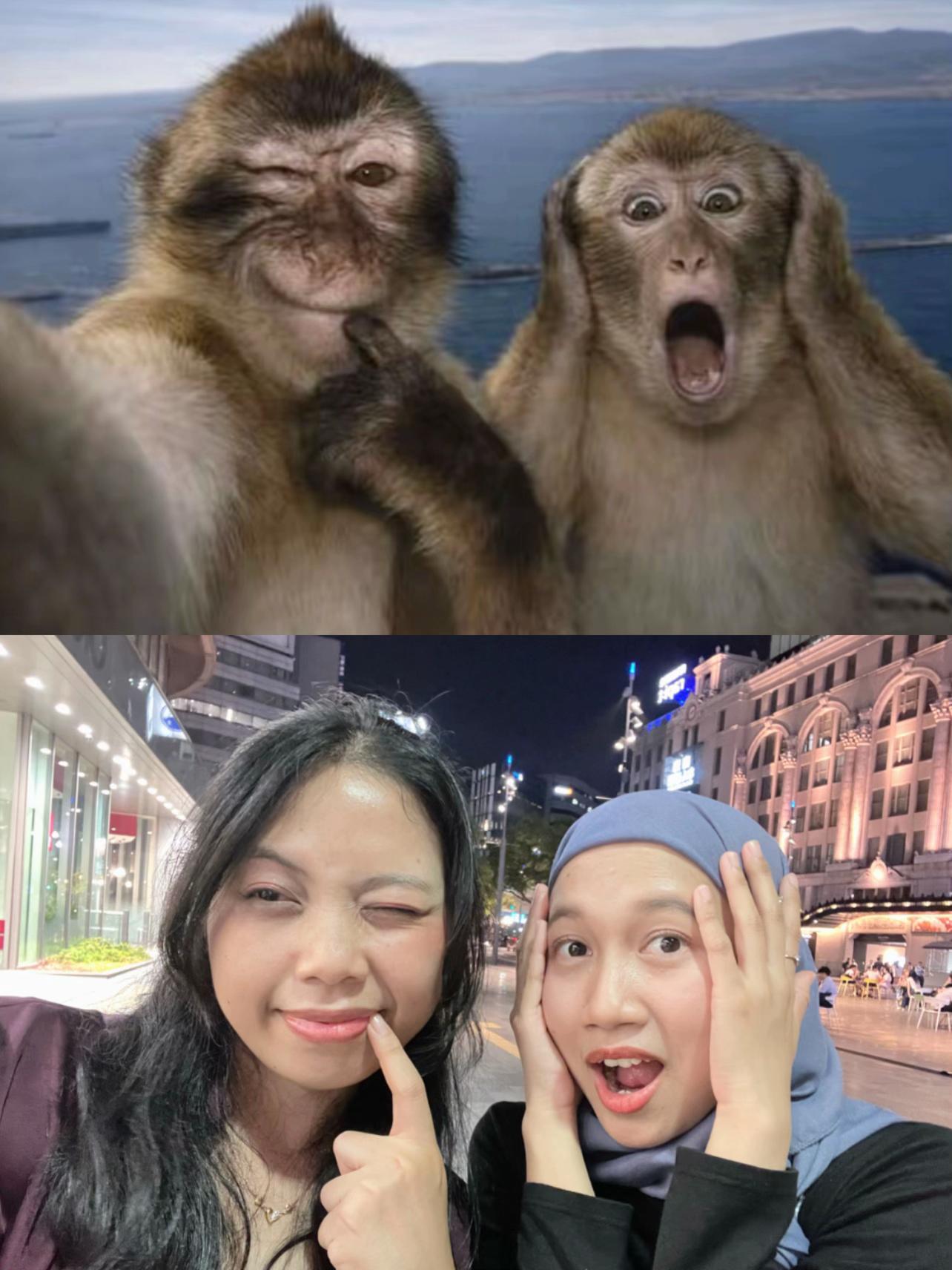 @ochan🐣