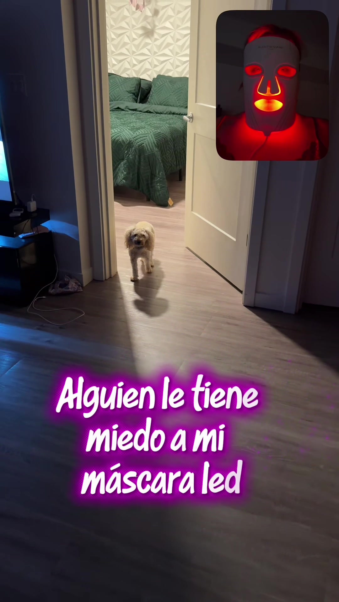 @Tati✨💜