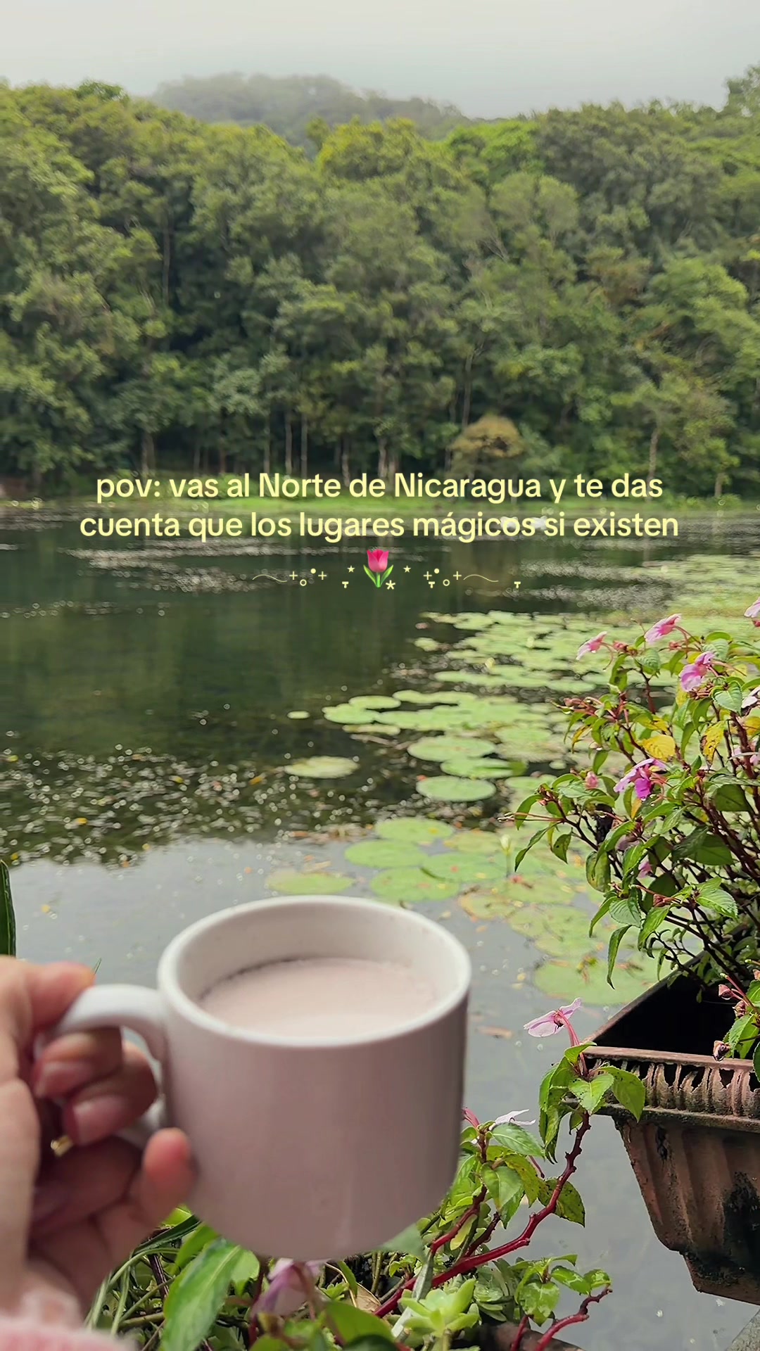 @Abilene 𝜗𝜚˖⋆