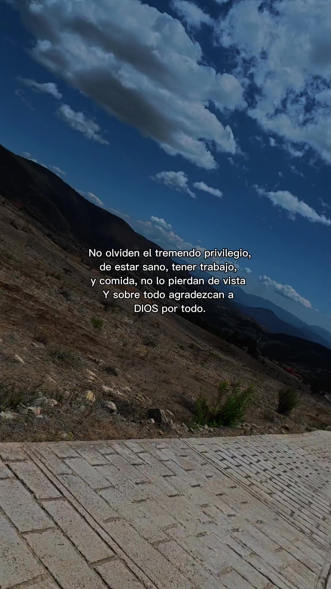 @viko