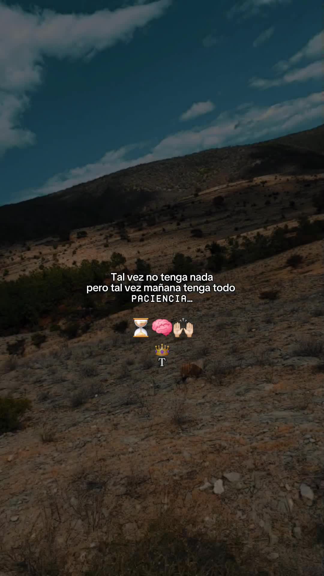 @viko
