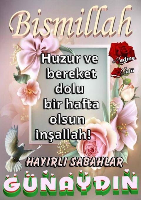 @55.ibrahm.usta?