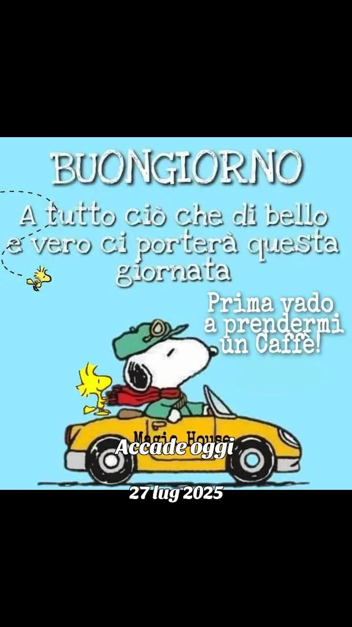 @LAURA FREEDOM🇮🇹