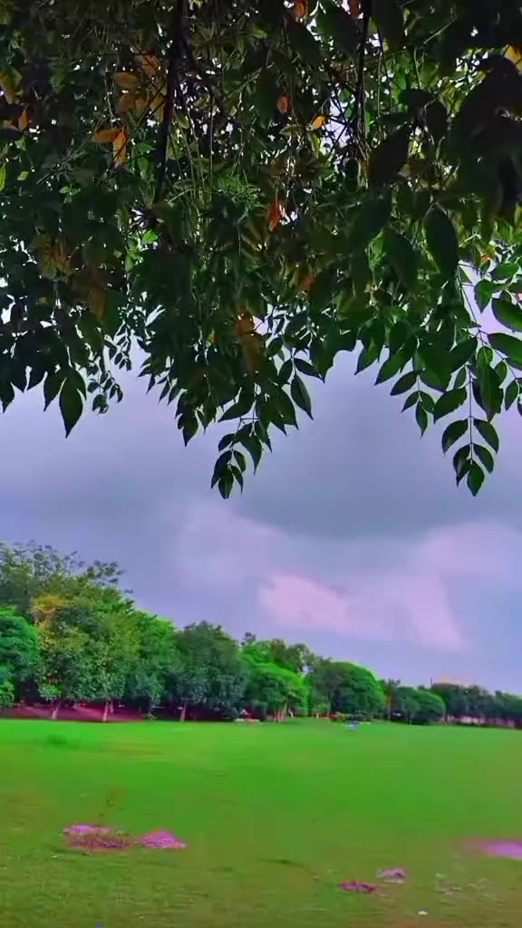 @🕊️🌸ـﮩﮩᎪຮ𝖍&upsilon;