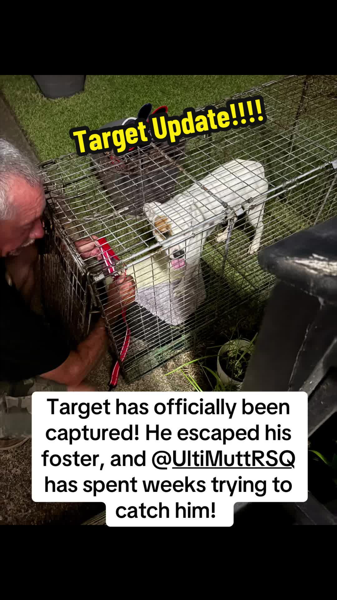 @Rescue&ensp;Dog&ensp;Army