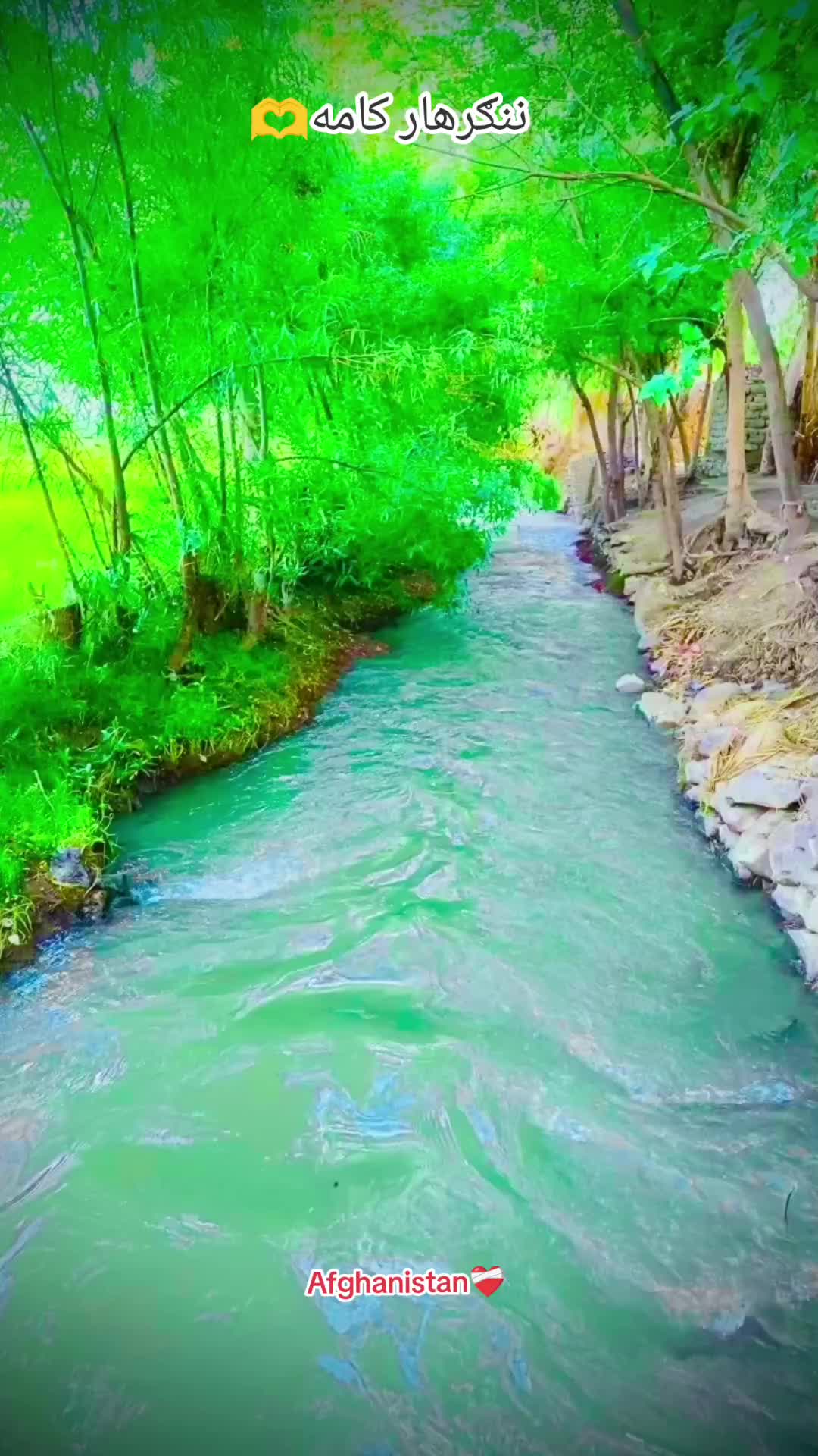 @Shoukat Afghan