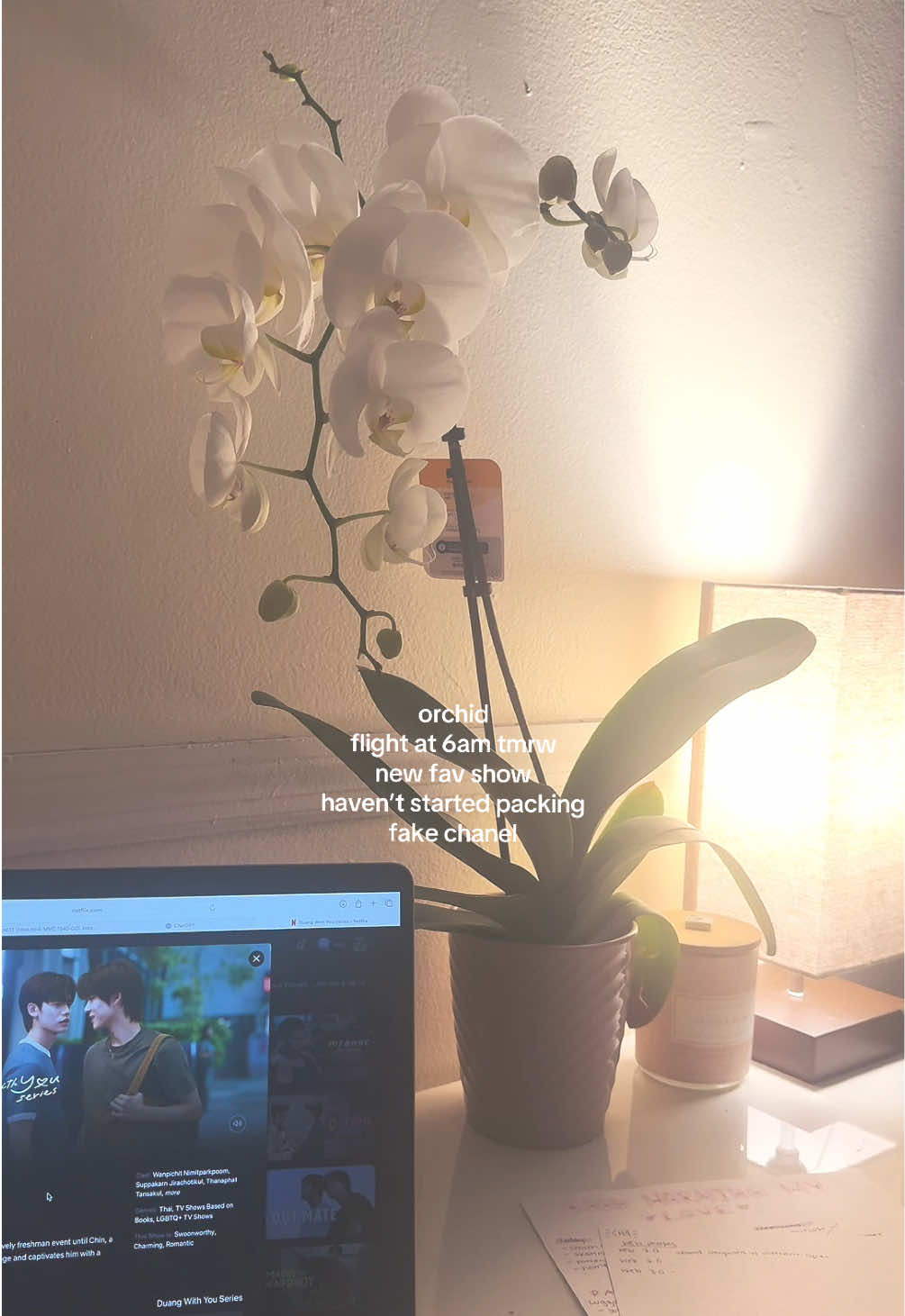 @danicas.diary