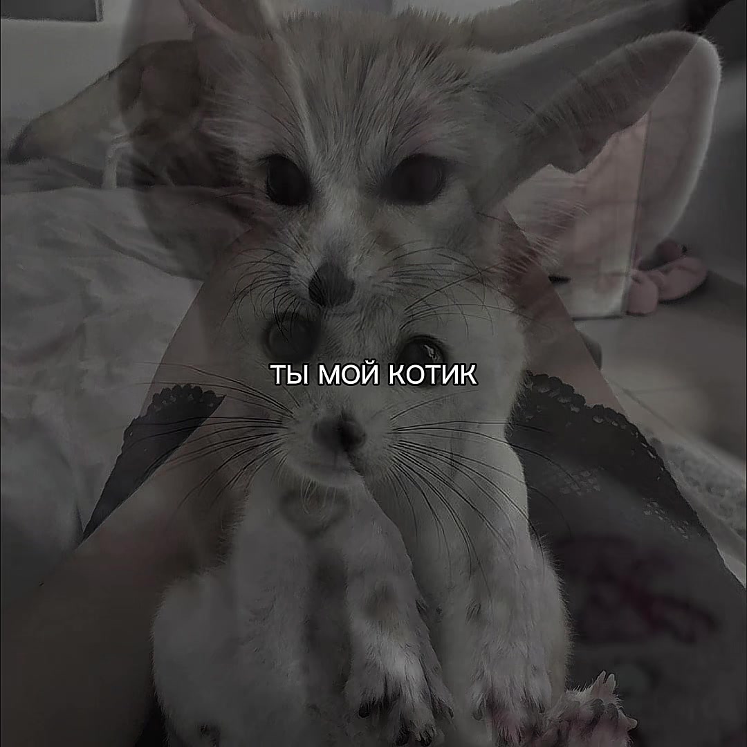 @ХХИКА