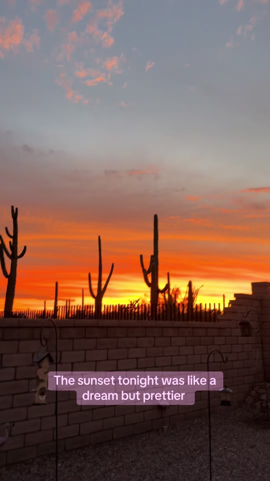 @desertgirly14