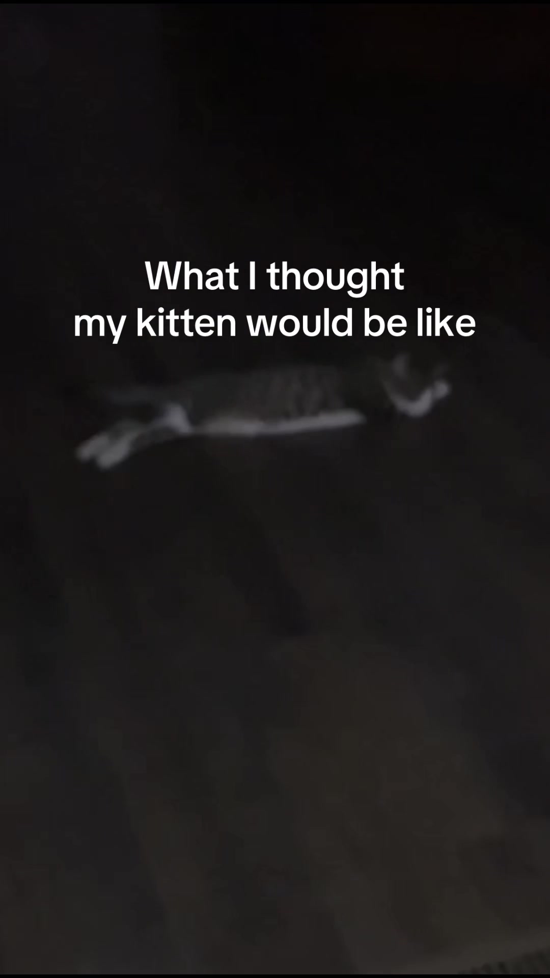 @🎀🎀