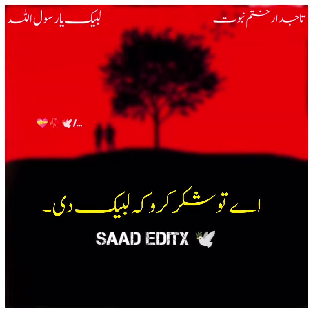 @𝗦𝗮𝗮𝗱 𝗘𝗱𝗶𝘁𝘅 🕊️