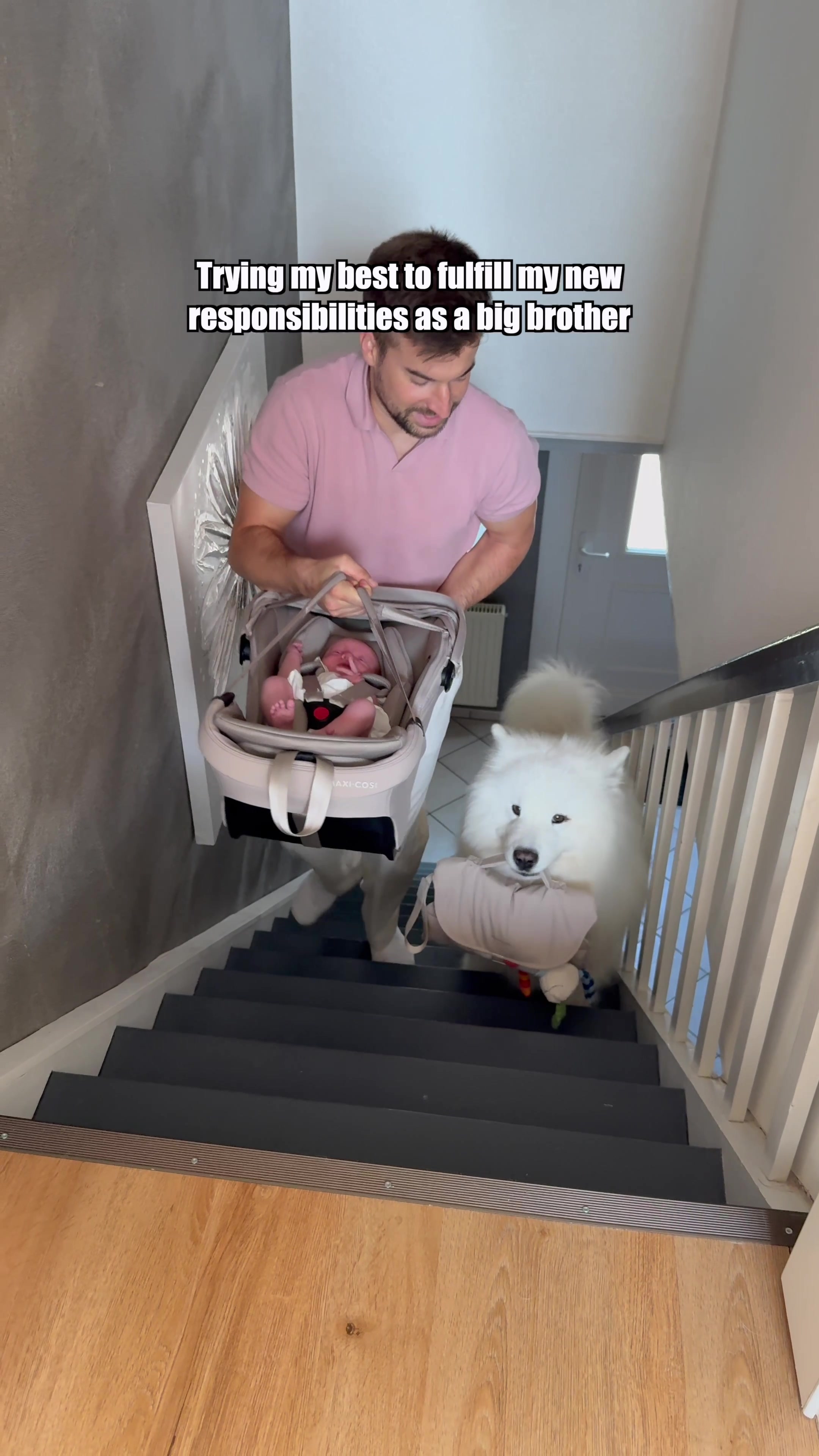 @wanderlust_samoyed