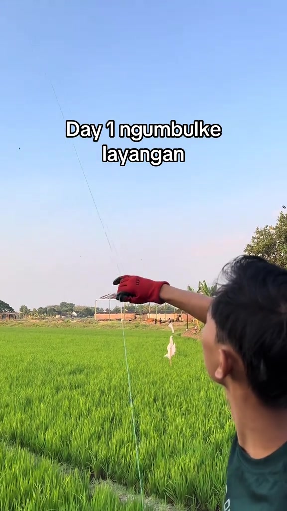 @Taufiqan