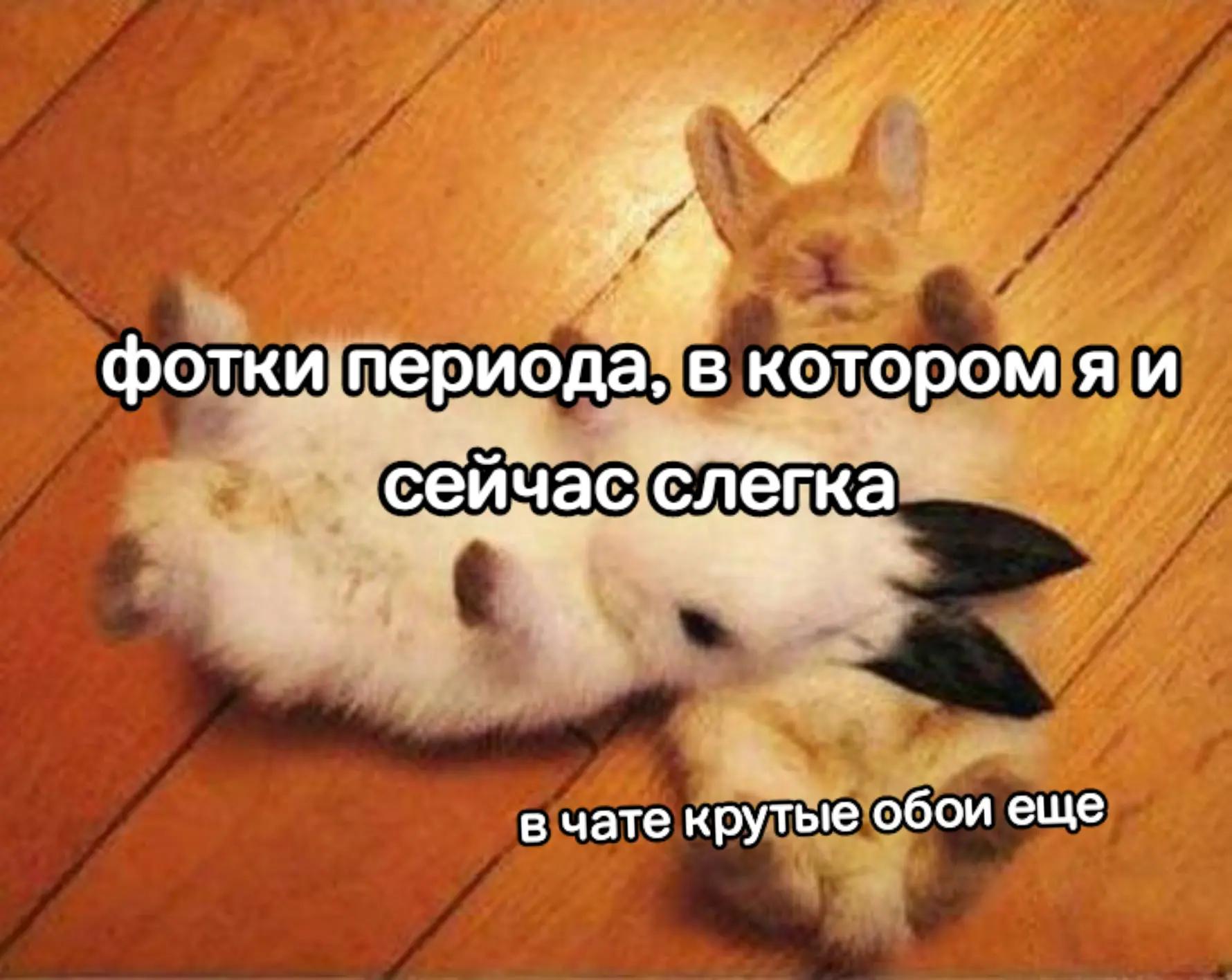 @ириска ! (*ˊᗜˋ*)