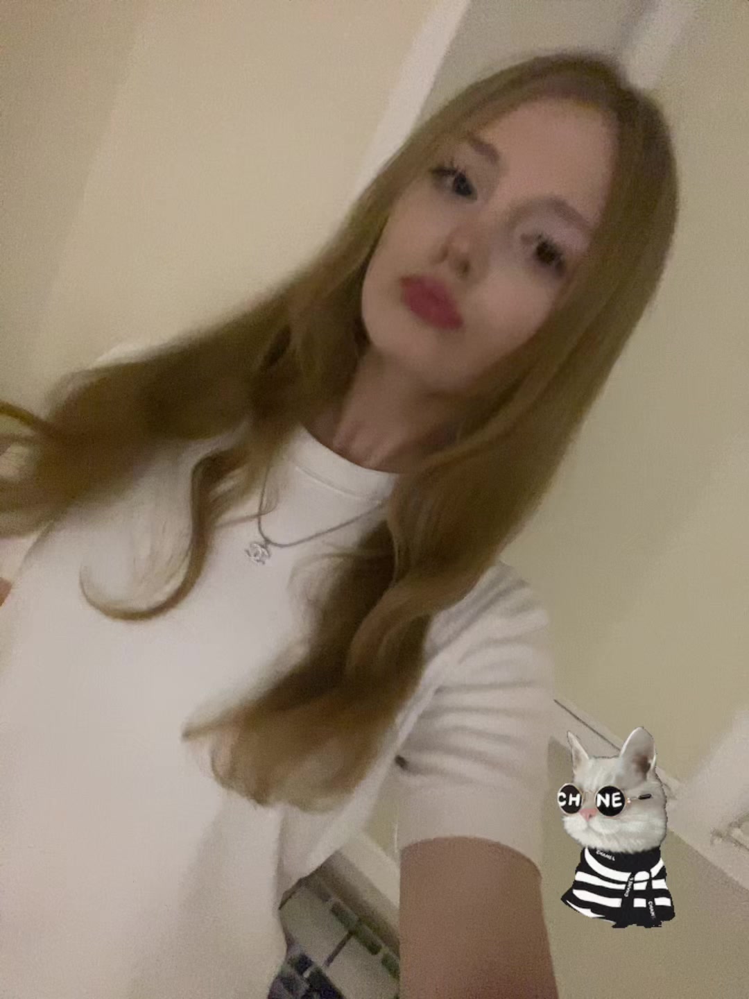 @sorokina0203