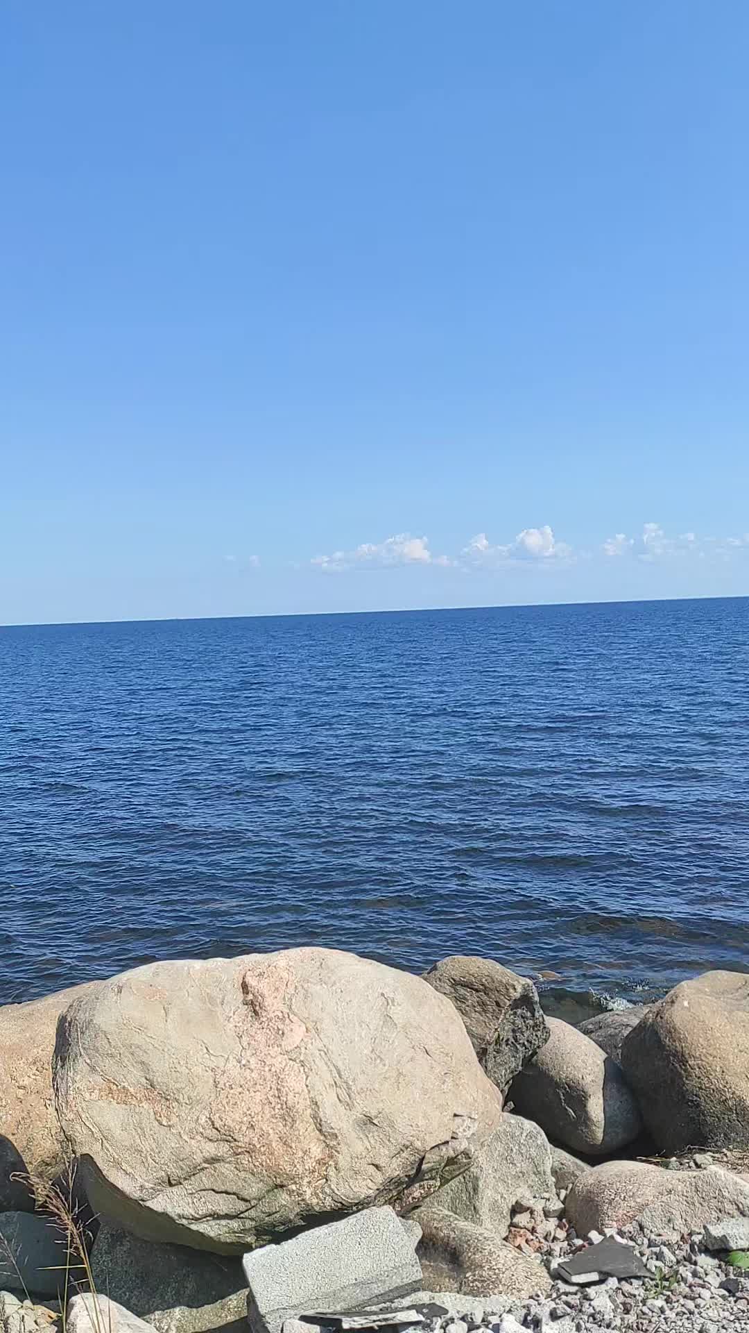 @Инга Соркина