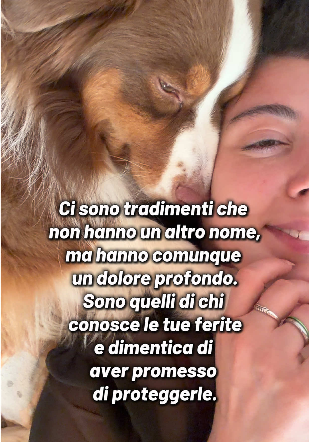 @Noeandfur 🐶🐾