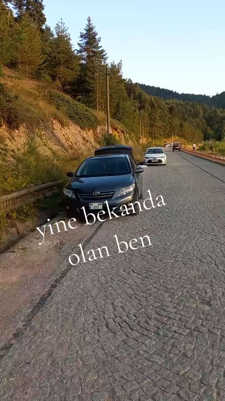 @Yığılca lı memedim.