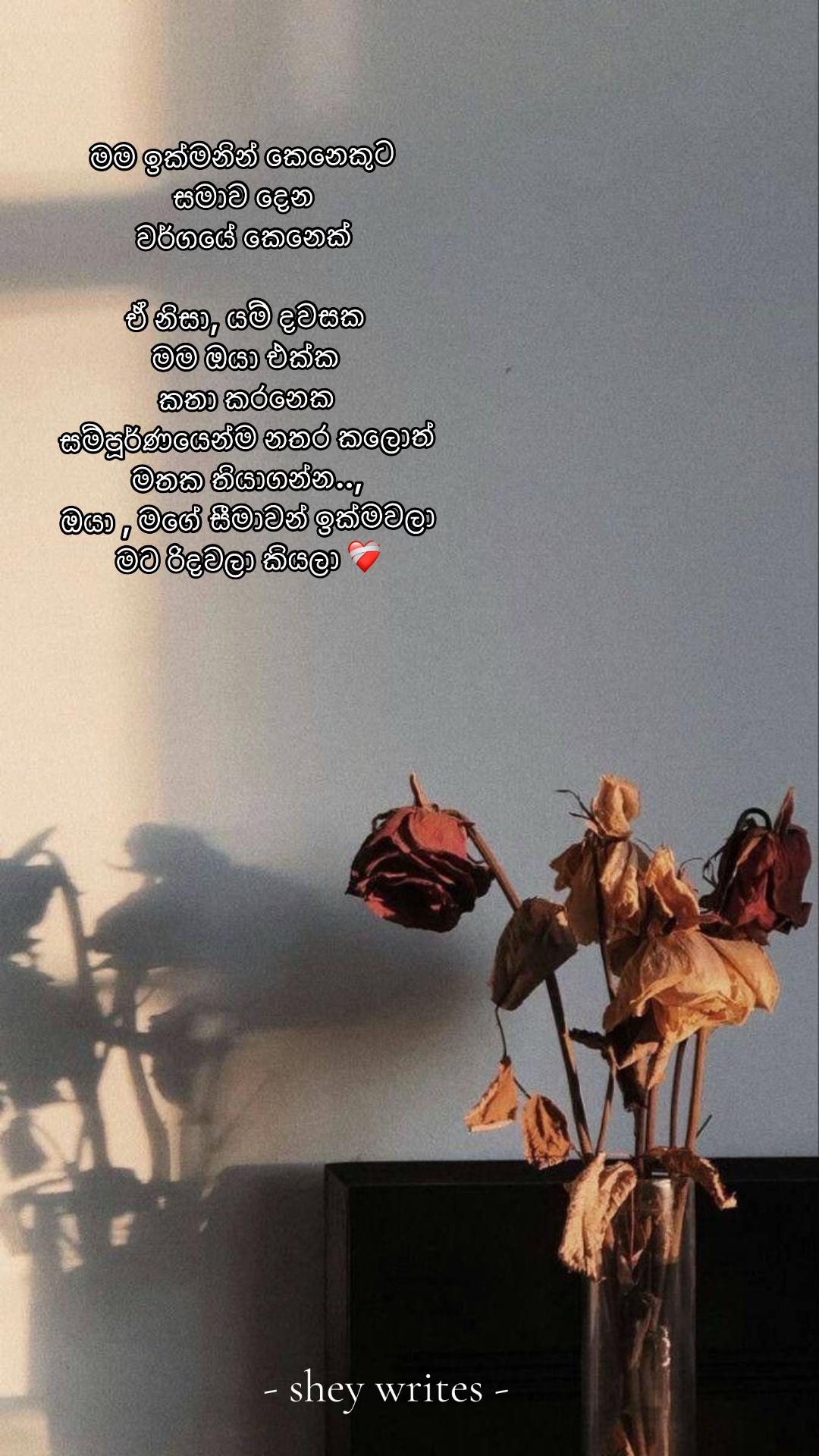 @Shey writes ✨