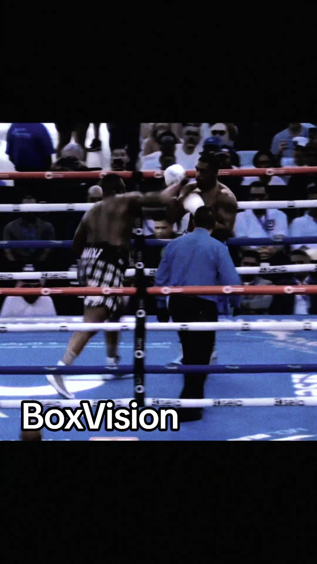 @BoxVision