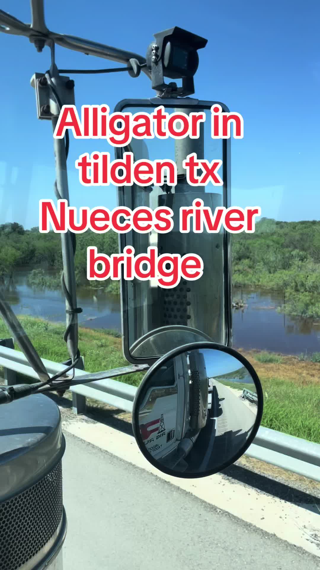 @chrisangel8141
