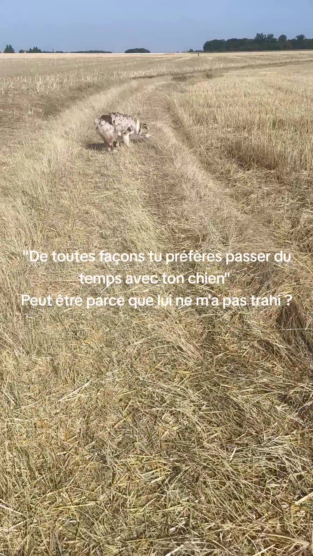 @Asta 🐻 Le petit frère 🤎