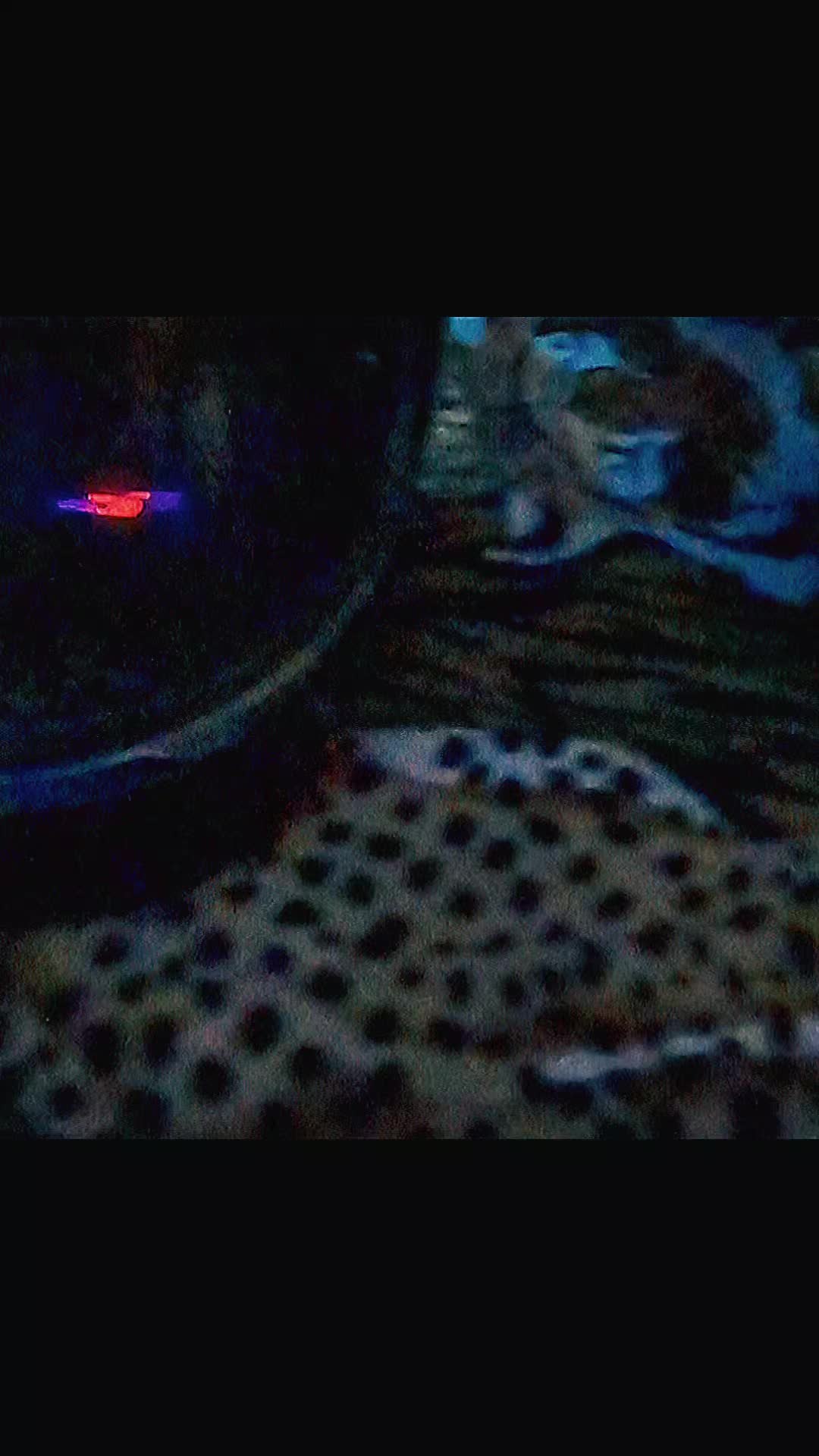 @Rickipromax
