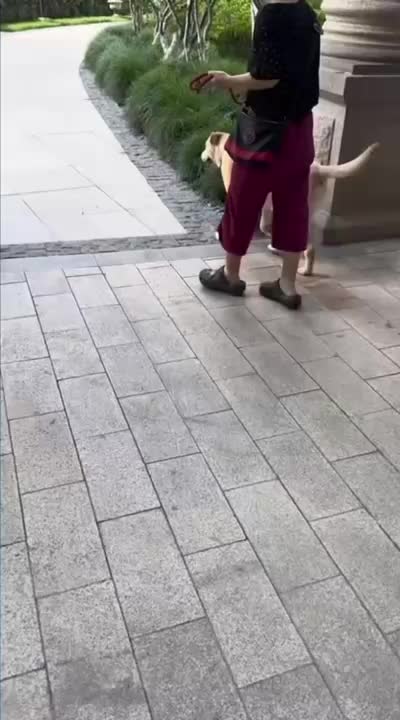 @Funny