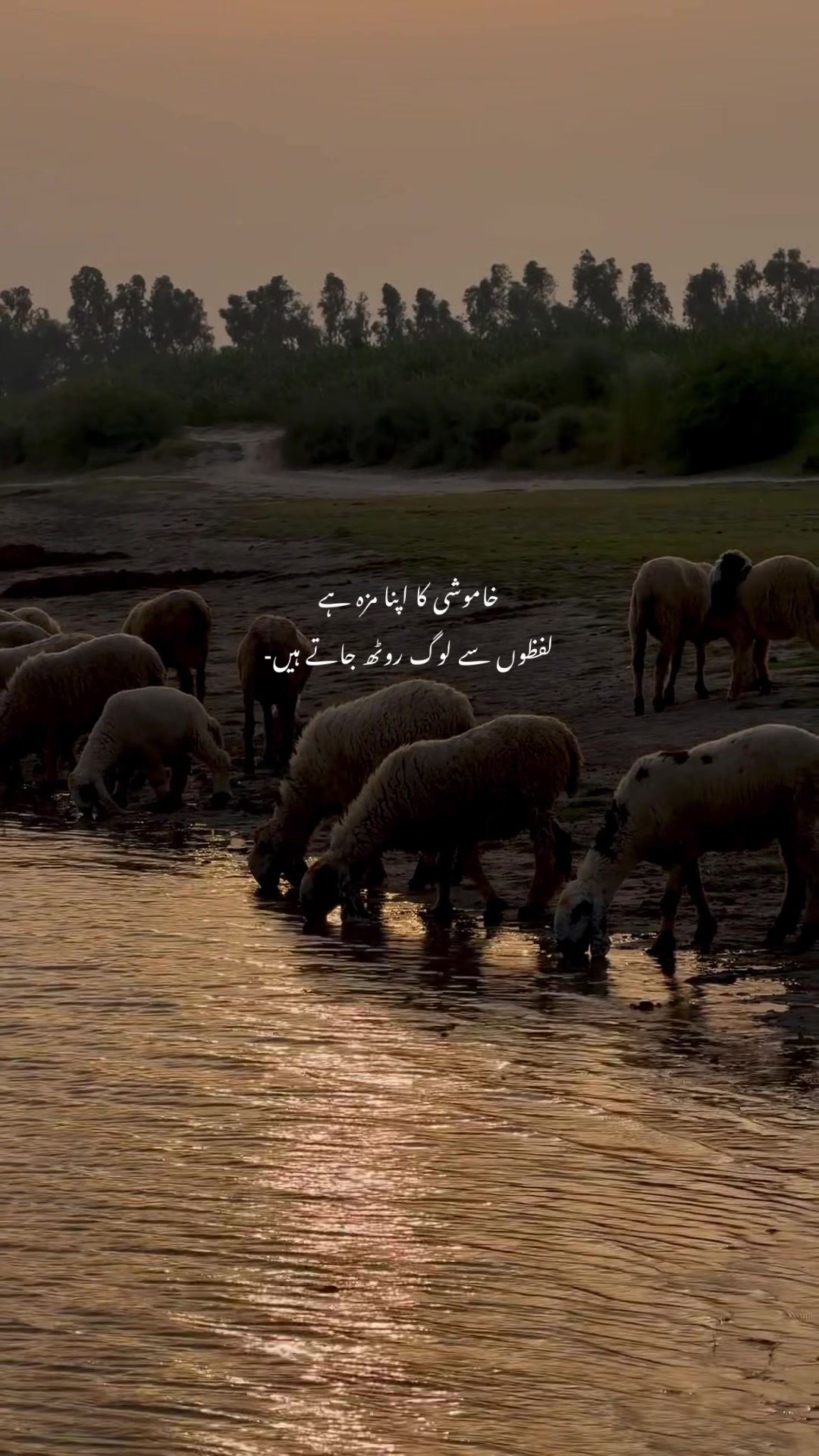 @W A S I ⚔️