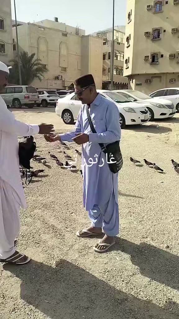 @M Ismail Nawab Ali