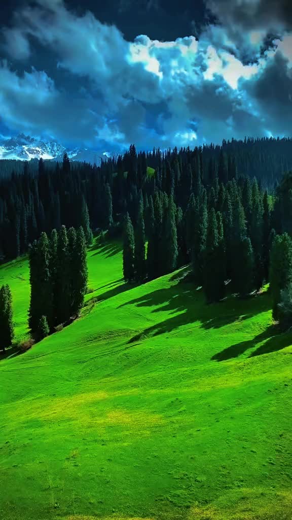 @Nature vibes