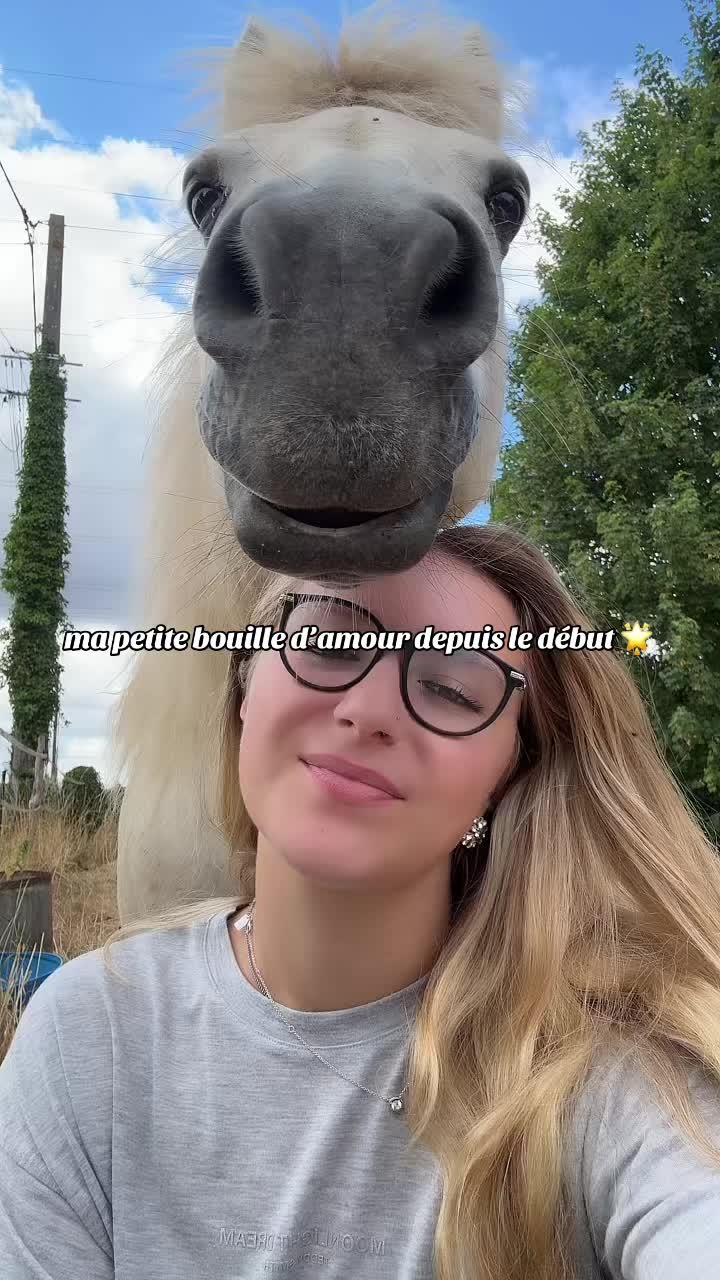 @benjyylepetitponey