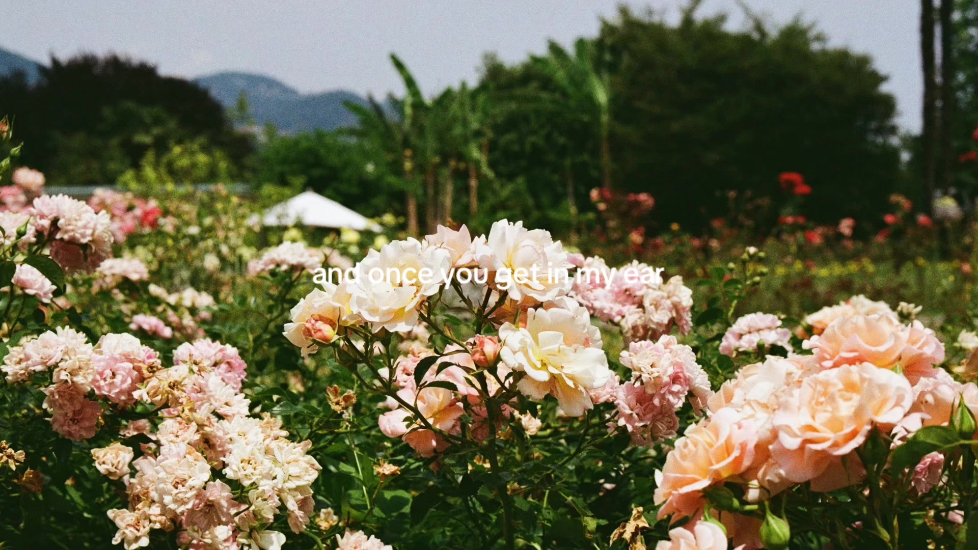 @theyearning.archive