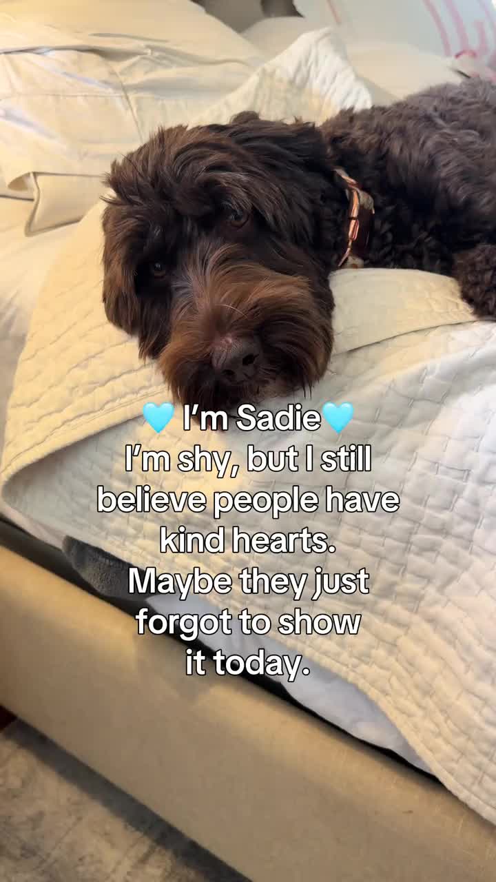 @Sadie the Doodle