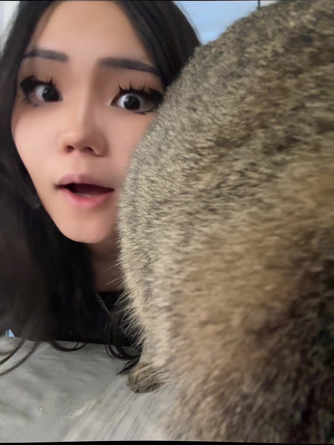 @arimayjang
