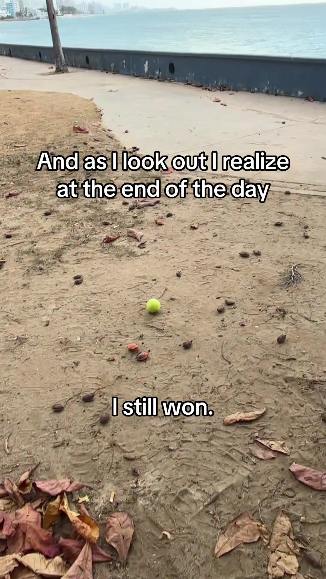 @Gentry