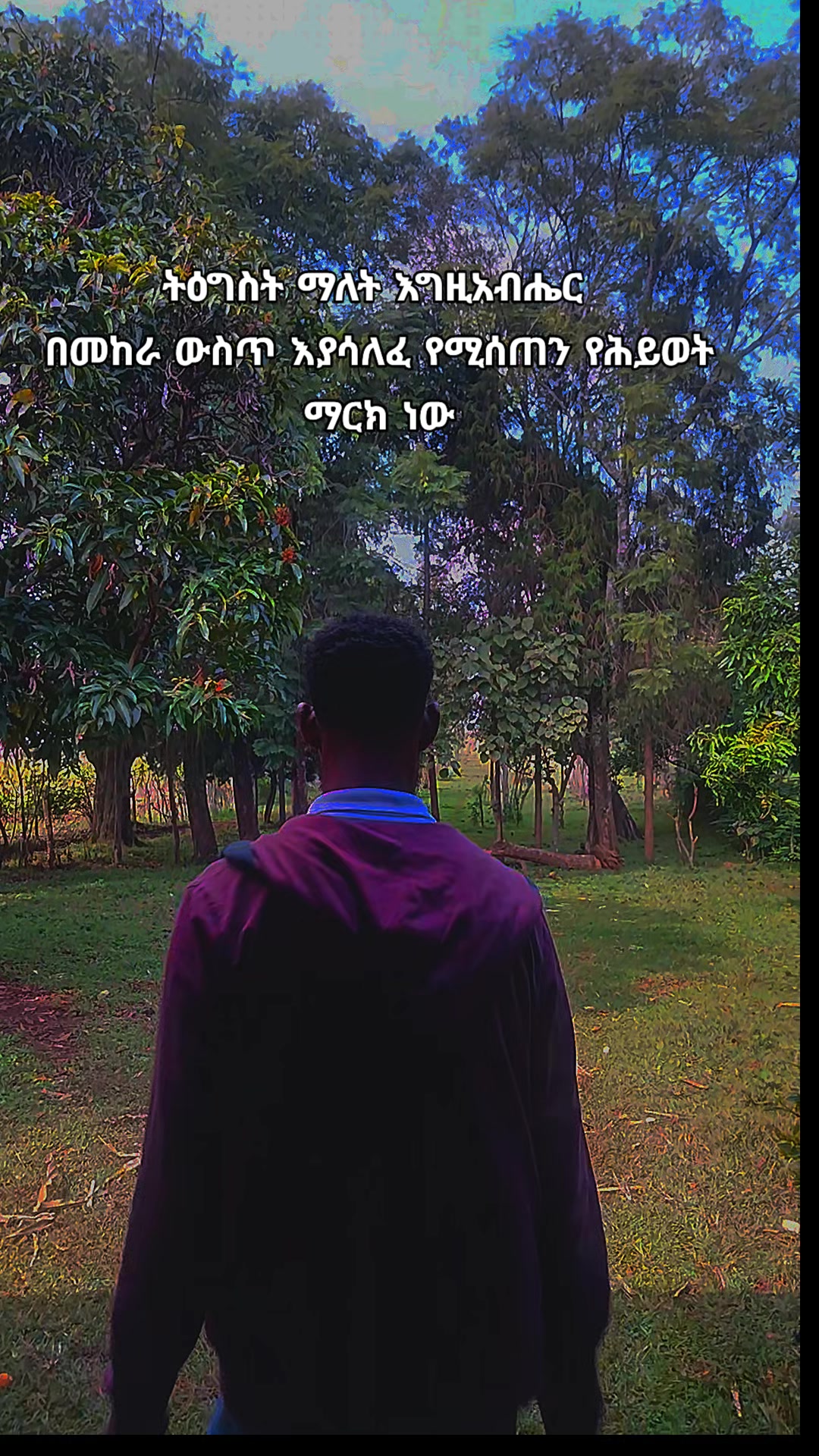 @ነቃ ጥበብ