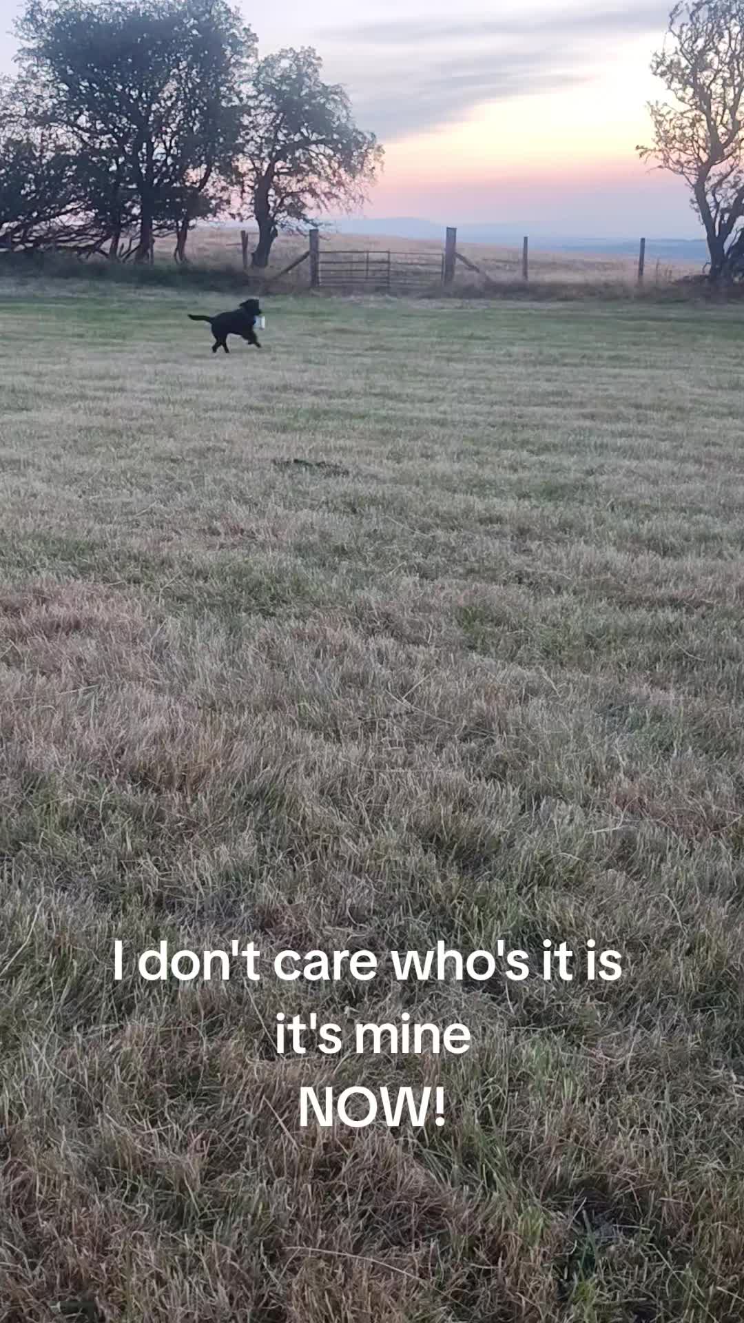 @murphy,kobie & friends
