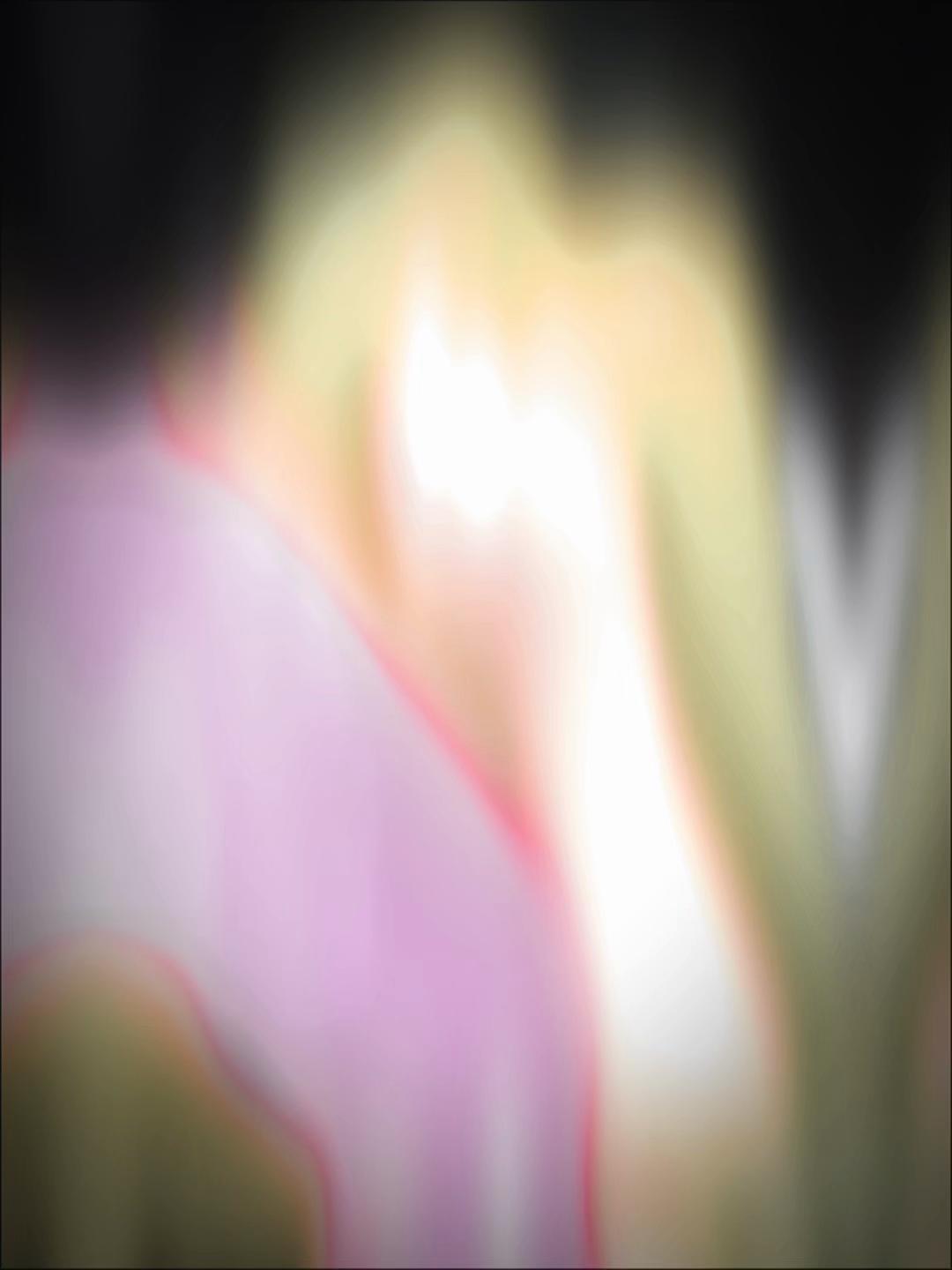 @꧁༺Sana༻꧂