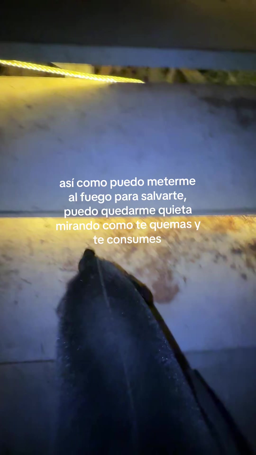 @Catalina Mendoza