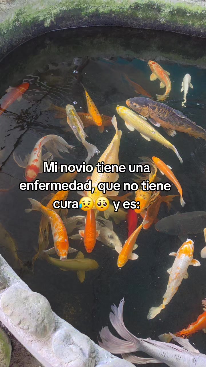 @🌻Dulce_Maria🍭