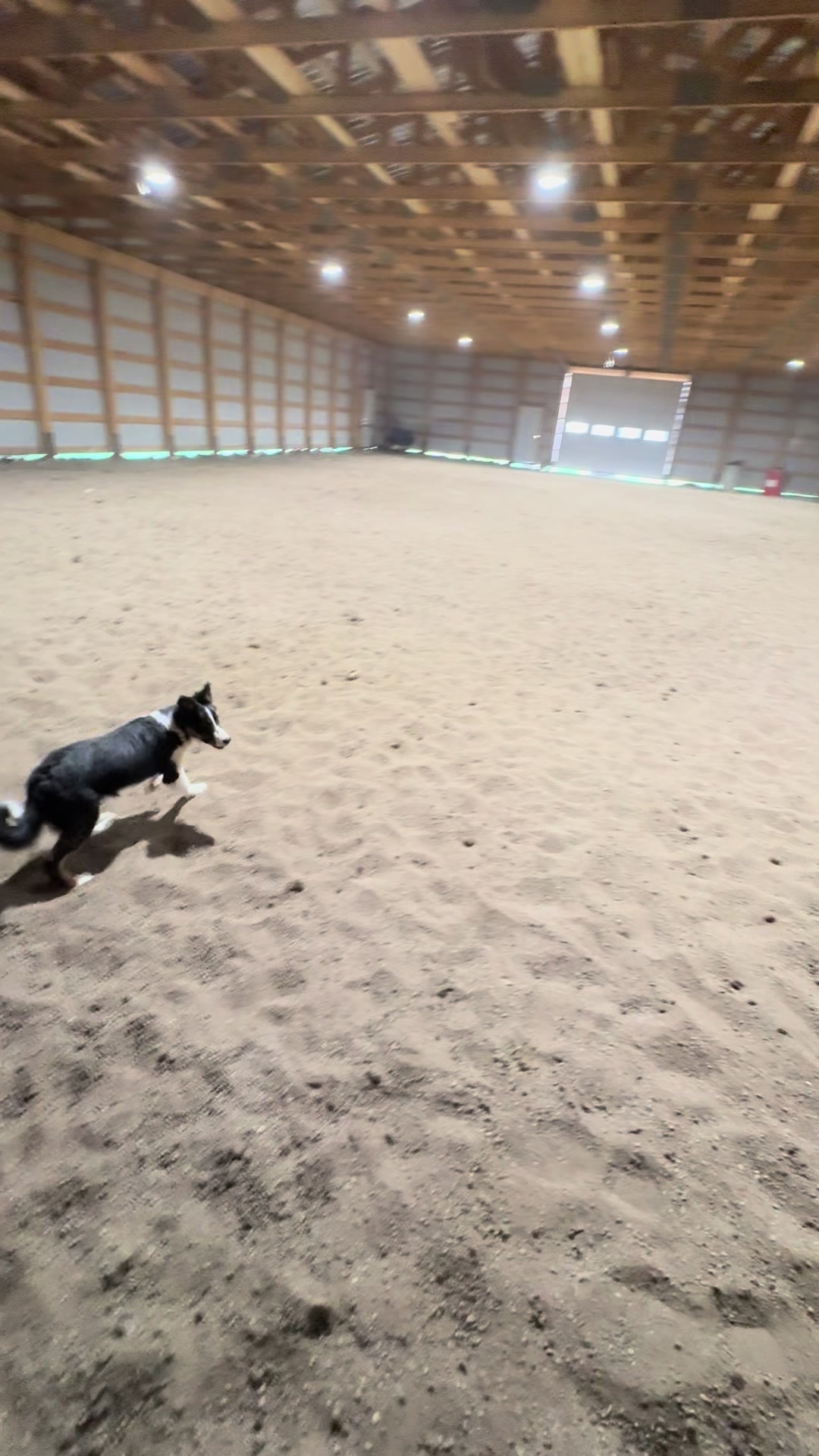 @Ducestockdogs&QuarterHorses