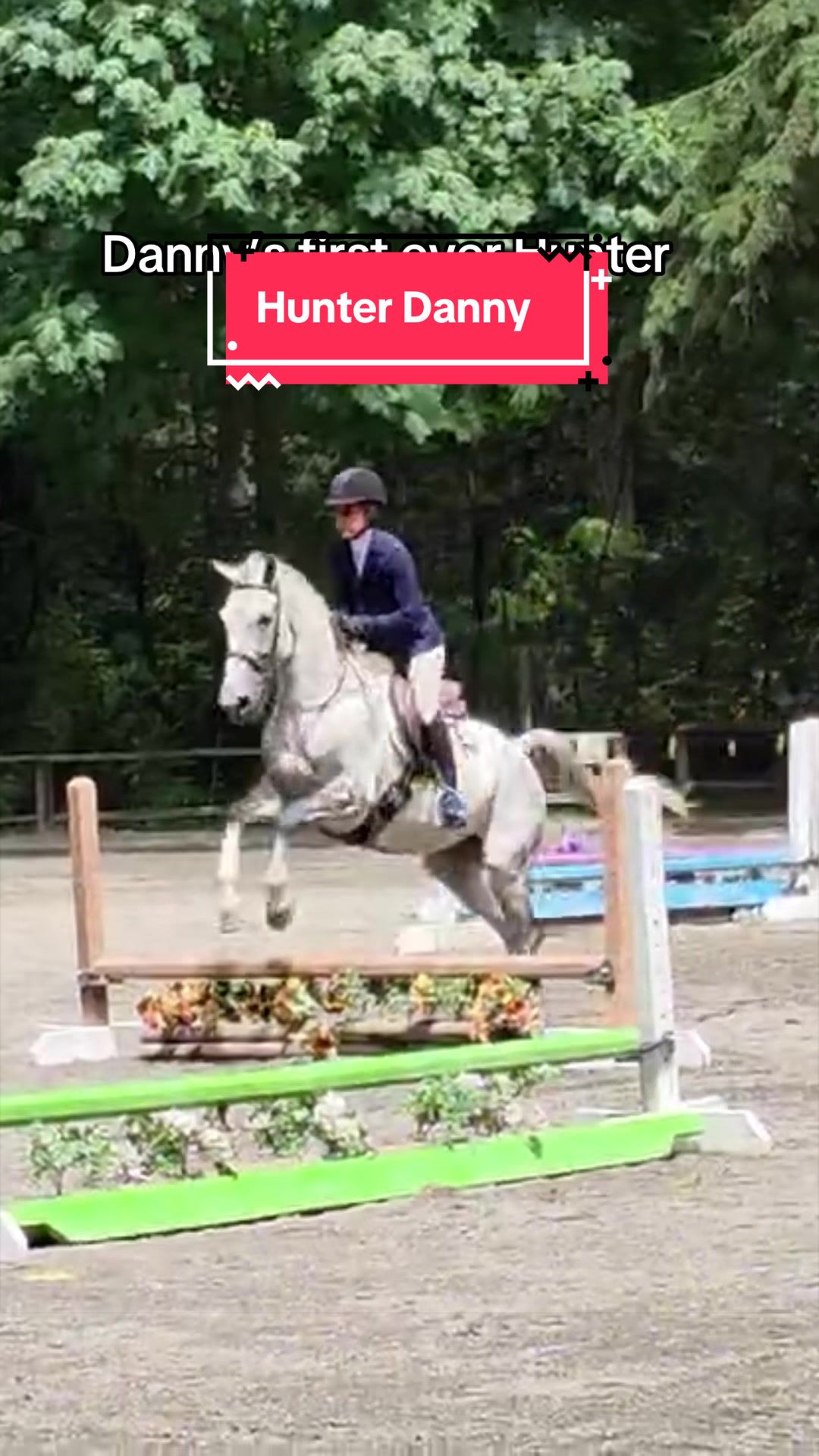 @BlueStarEquestrian