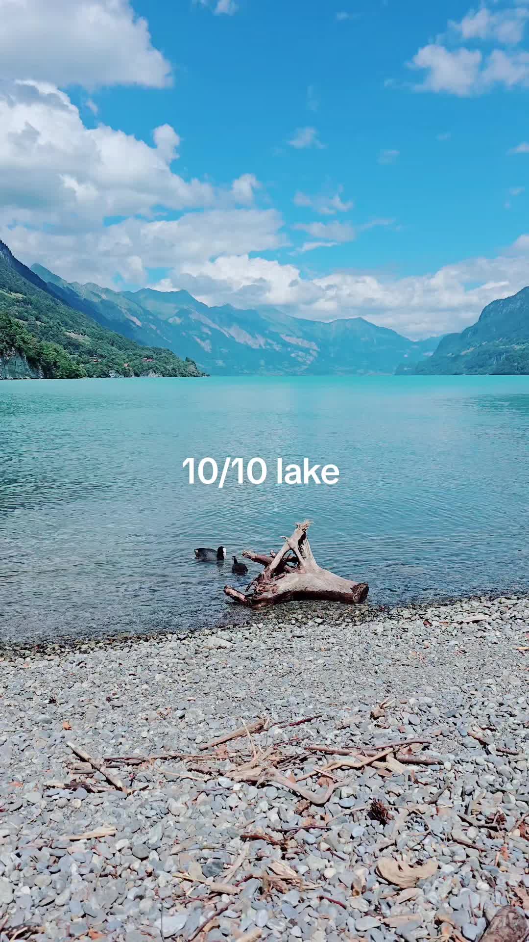 @𝕸𝖆𝖘𝖎𝖙𝖔