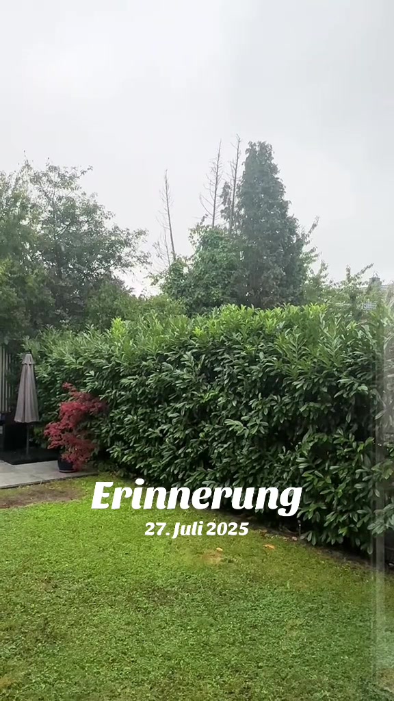 @ᒍEᑎᑎIᖴEᖇ ᖴO᙭