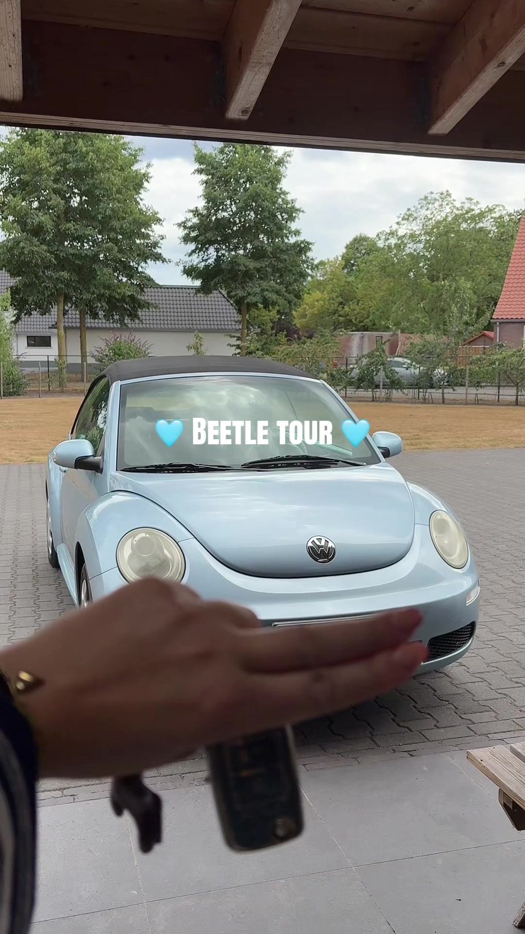 @Bella Beetle