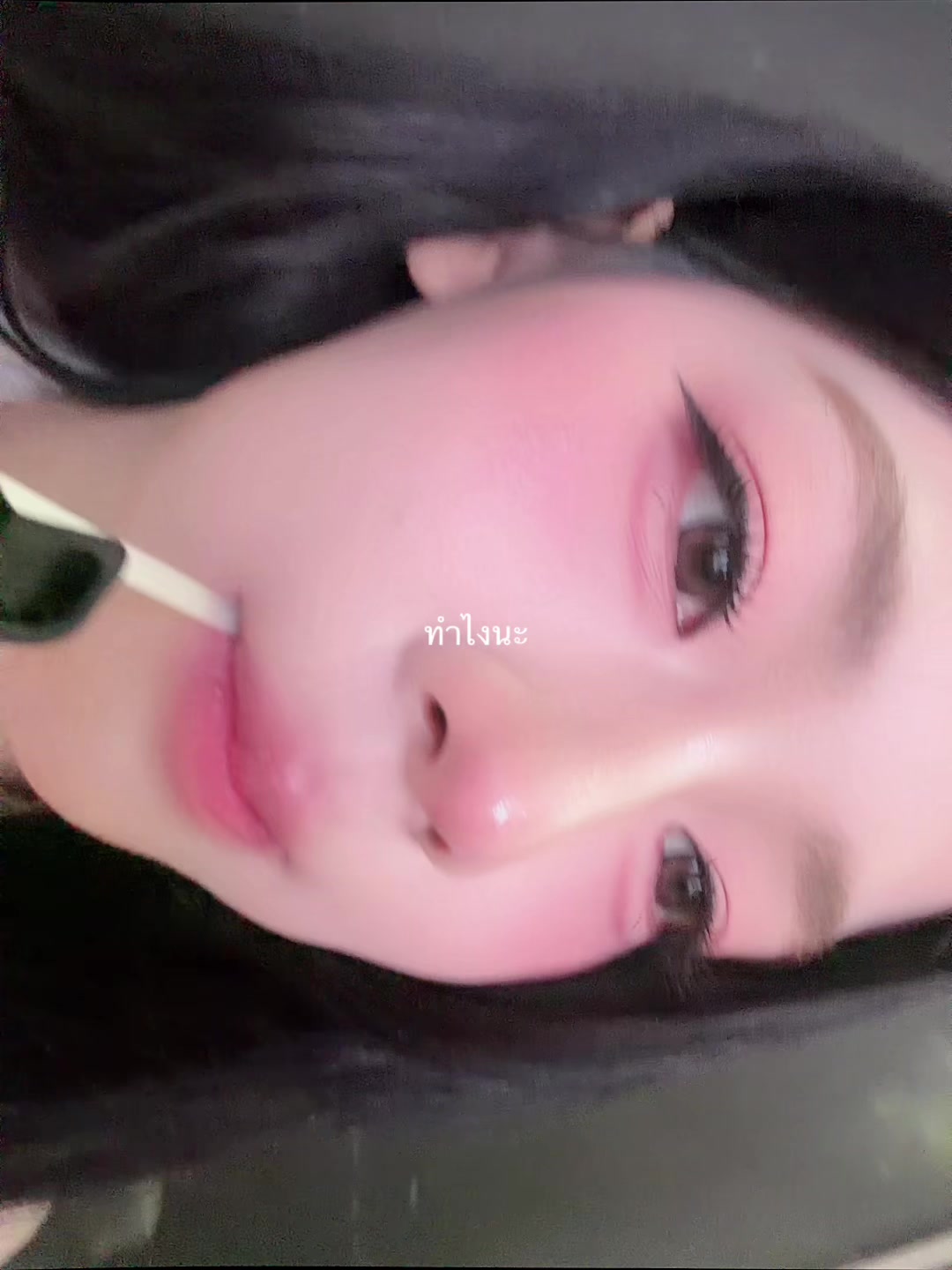 @🦈