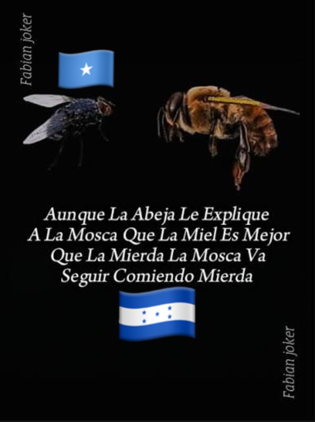 @Alejandro Alexander
